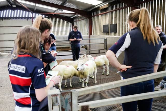 YFCU members pictured at the sheep stock judging finals