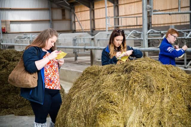YFCU members during the Silage Assessment Finals day that was held at CAFRE, Greenmount.