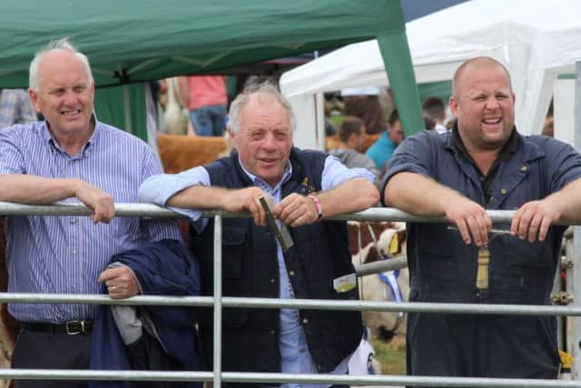 Cattle exhibitors take a keen interest in the interbreed beef classes at Castlewellan Show. Picture: Julie Hazelton