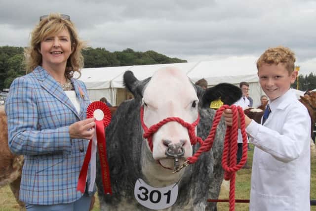 Junior beef handler Matthew Cochrane, Portadown, was congratulated by judge Maggie McQuiston from Antrim. Picture: Julie Hazelton