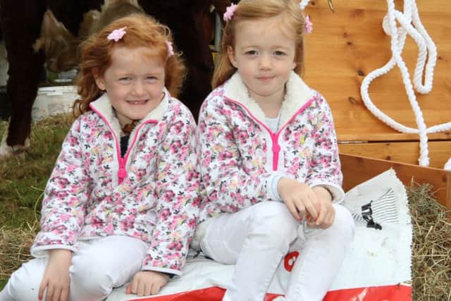 Sisters Kristyn and Karis Greenaway from Birches near Portadown enjoying the atmosphere at Castlewellan Show.