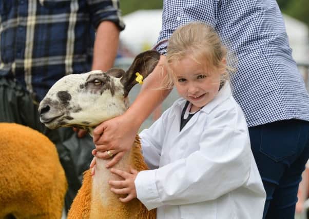 Young Handler Ellie-May Bell with her Blue Faced Leicester at todays Castlewellan Show. Photo by Aaron McCracken