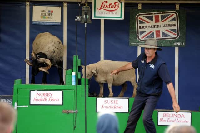 Performances from the fantastic sheep show will be loved by all ages