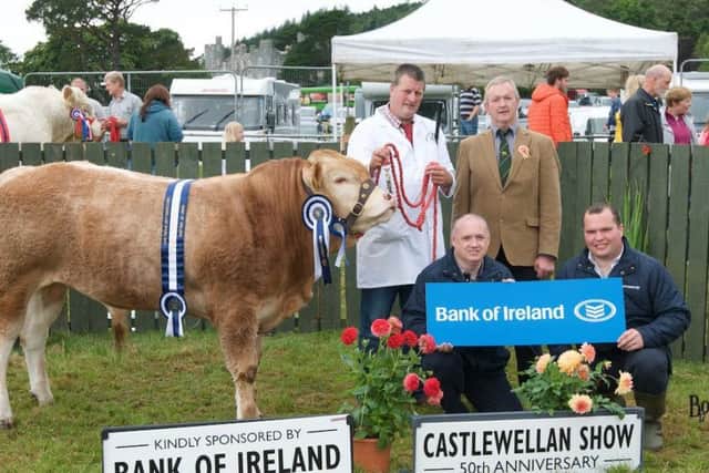 Ballymacan Magnificent BOI Reserve Calf Champion with Roger Johnston, judge Dessie Greene and Bank of Ireland representatives Richard Primrose, Head of Agri Finance and Declan Maginn, Manager in Downpatrick.