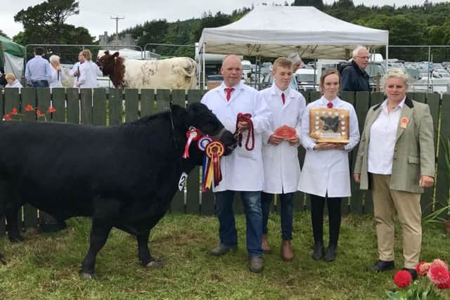 Champion Northbrook Atlas owned by The Bloomer family pictured along with judge Felicity Thompson