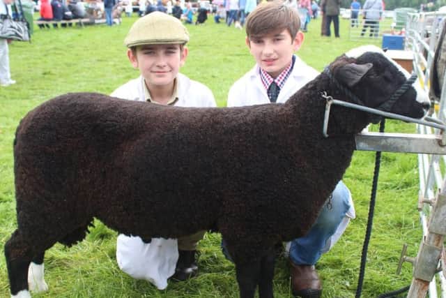 Brothers Hayden and Nathan Tumelty, from Downpatrick, with their Zwartbles' ram lamb at Antrim Show 2017
