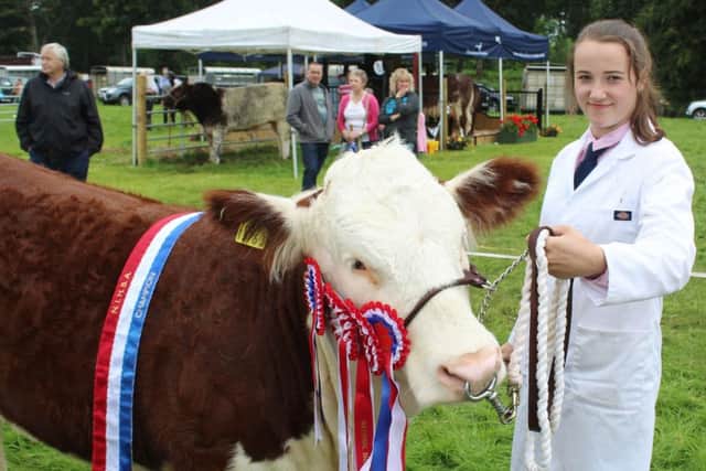 Courtney Halliday, from Annaghmore, with her Hereford Champion at Antrim Show
