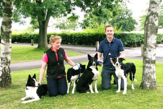 Brian White and Aoife Smith with their four Skipton dogs that together made 20,100gns. From left are the top price Ben at 7,200gns, Bess (3,800gns), Jack (5,700gns) and Nap (3,400gns)