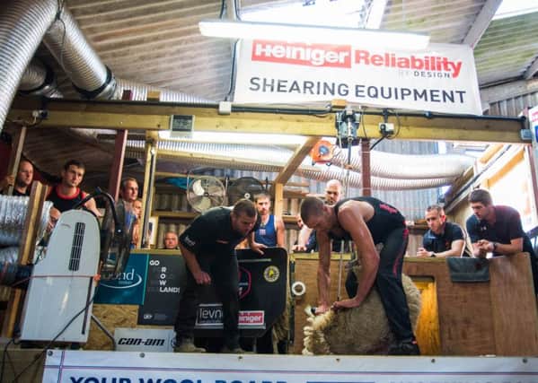 Rowland and team of supporters during the 8-Hour shearing World Record attempt. Picture: Emily Fleur Photography