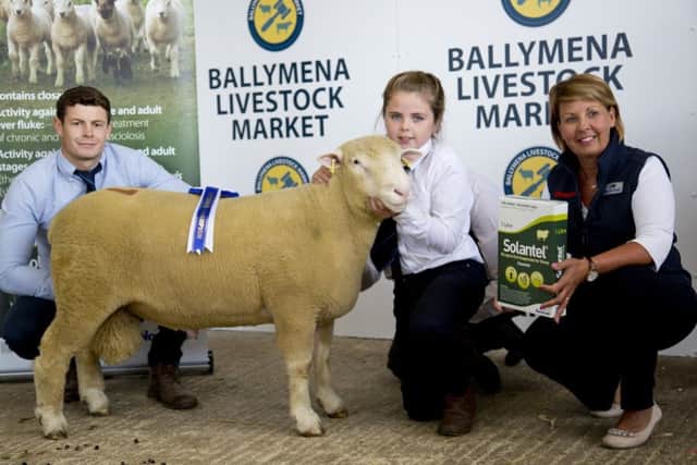 Reserve Champion owned by Rachel Moore sold for 650gns