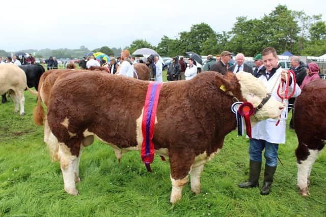 Neil McIlwaine, from Newtownstewart, with the Beef Inter-Breed Champion at Fermanagh Show