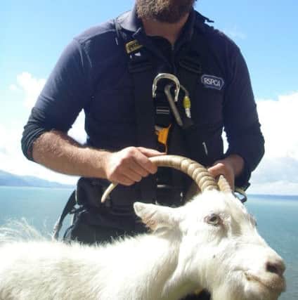 RSPCA Inspector Andrew Broadbent with the goat