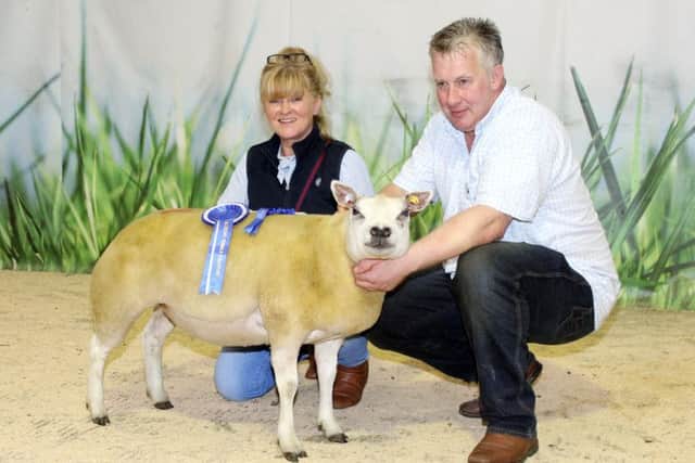 Edward and Shirlee Nicholson, Derryouge Flock, with their reserve female champion, Derryouge Betty Boo