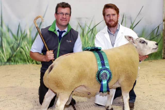 Patrick Brolly, Munreary Flock, right, with his reserve champion, Munreary Bingo, a shearling ram. Also included is judge, David Thornley
