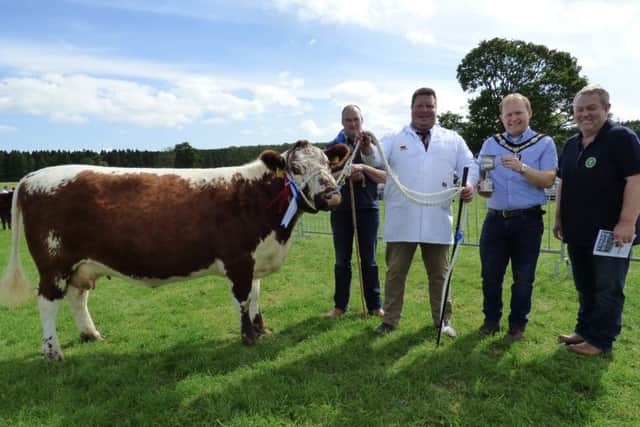 Reserve breed champion was won by N and M Moilies with the young cow Curraghnakeely Sylvia. Pictured is handler Nigel Edwards, judge Richard McConnell, steward Mark Logan and special guest to the show the Lord Mayor of Armagh, Banbridge and Craigavon Gareth Wilson