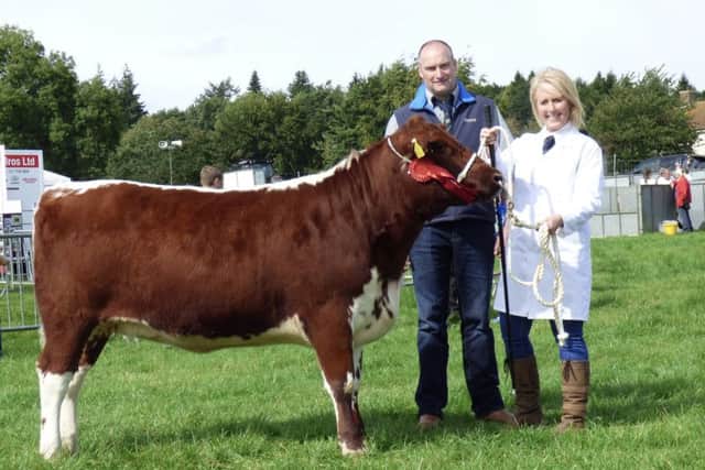 The maiden heifer class was won by N and M Moilies with Curraghnakeely Daisy. Pictured is handler Michelle McCauley and judge Richard McConnell