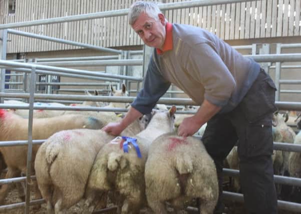 Matt Taggart with his second placed pen of Charollais cross lambs
