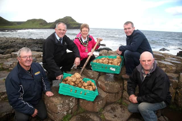 Pictured on the stones at the GiantÃ¢Â¬"s Causeway at the launch of the Northern Ireland Potato Festival are Dessie Hamilton, Adrian Jamison, Mark McCurdy and the Mayor of Causeway Coast and Glens Borough Council, Councillor Joan Baird OBE. The annual event returns this year on Saturday 7th October. ).PICTURE KEVIN MCAULEY/MCAULEY MULTIMEDIA