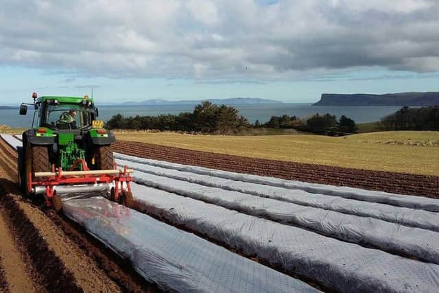 Adrian Jamison from Jamison Potatoes Ballycastle making the most of the good weather by covering the first of the 2017 crop of new potatoes with polythene on the Whitepark Road Ballycastle with Fair Head and Mull of Kintyre Scotland as a backdrop.Potato planting in the shadow of Fairhead outside Ballycastle. .PICTURE KEVIN MCAULEY/MCAULEY MULTIMEDIA