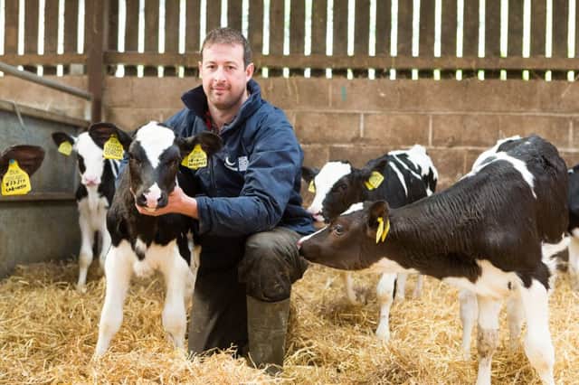 Yorkshire dairy farmer, Tom Dodgson was the first farmer in Europe to  use Sexcel and is pictured with some of the calves FP1A8549