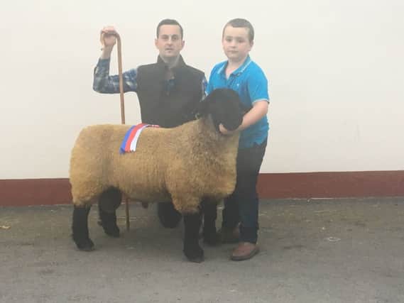 Rathfriland 1st prize ram lamb & Champion from Jack & Alfie Moses