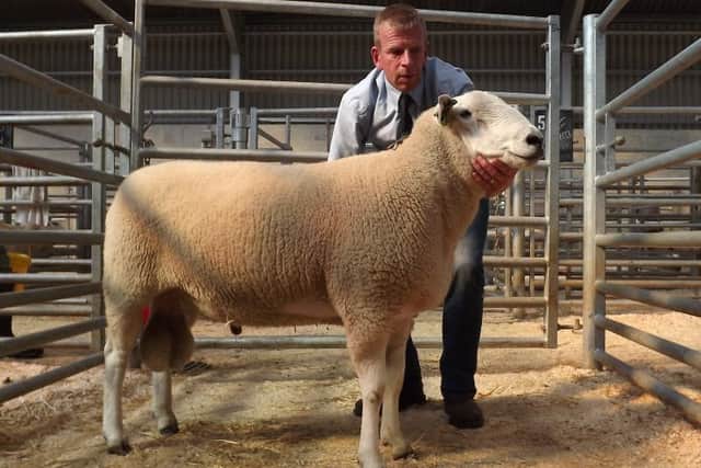 Barry Latimer with his top priced ram
