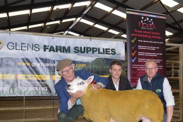John Currie TullaghTexels accepts the Reserve Champion Rosette from Judge Michael Smyth and Sponsor John Christie Glens Farm Supplies at Armoy Club Show & Sale.