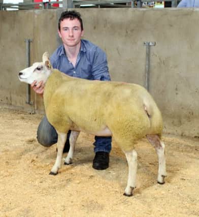 Ryan Murray, Ravara Flock, Ballygowan (pictured) has been appointed to judge this year's Beltex Autumn Show and Sale, which is being held at Omagh Auction Mart on Saturday, 30th September. Comprising of 31 Sheep in total, 19 Shearling Rams, seven Ram Lambs and five Shearling Ewes, the show will start at 11.00am with the sale commencing at 1.00pm. The 31 MV Accredited Pedigree Sheep will be sold under the auspices of the Beltex Sheep Society and the Irish Beltex Sheep Breeders Club. For further information contact Irish Club secretary, John Harbinson on 0784 3957718.
