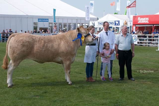 Best heifer: Dessie, Brian and Caitlin McGartland with Drumnafern Legacy