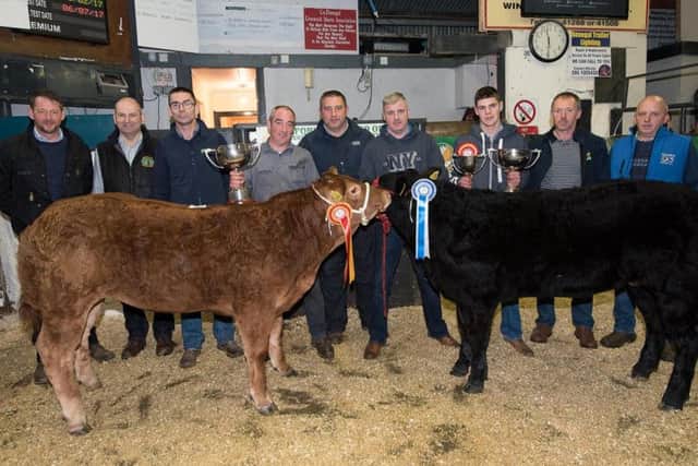 Michael Gallagher from Carrigart with the show champion and Willie Gallagher and Gavin Gallagher, Churchill, with the reserve champion at the Milford Mart 50th anniversary weanling show and sale. Also included from left are Jonathan Lucas, John Stewart, mart manager, Micahel McHugh, FBD, Pearse McNamee, judge, John Greene, Limousin Society, and Patrick Herrity, Progressive Genetics