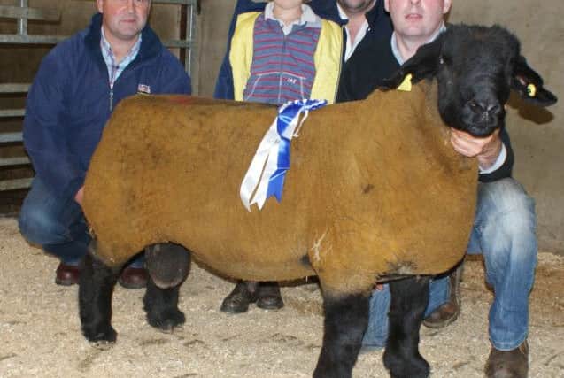 Reserve Champion and first placed Shearling Ram from John McKay Kirkview with sponsor Philip Gurney Natural Stockcare and Judge Dennis Taylor with young son Noah.
