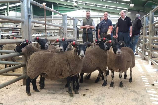 S & J Fegans shearling ewes winners of Best Blackface Pen with Brian Doyle from  sponsors Clanyre Veterinary Clinic.