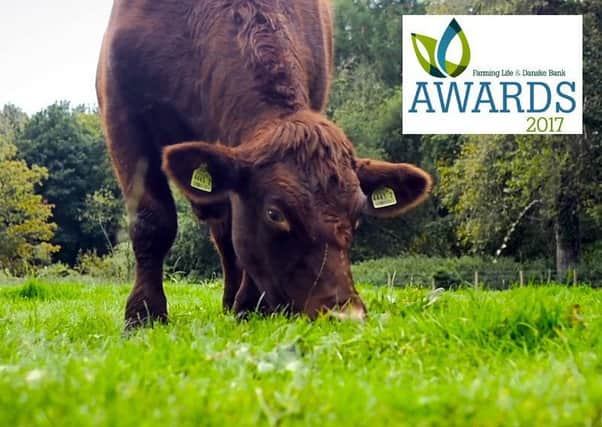 Beef Farmer of the Year 2017
Glenarm Castle, Farm Manager - Bryan Wilson
 Sponsored by Bovipast