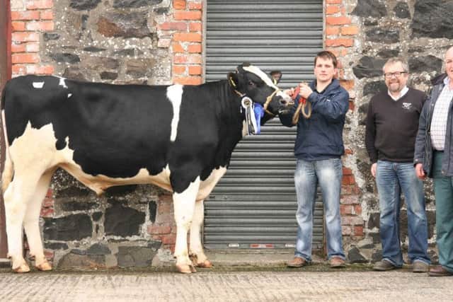 Inch Lavaman exhibited by James Cleland was the reserve champion at Holstein NI's autumn show and sale, held at Kilrea Mart. Included are Andrew Wilson, Wilson Agriculture, sponsor; and judge Gaston Wallace, Nutt's Corner. Picture: John McIlrath