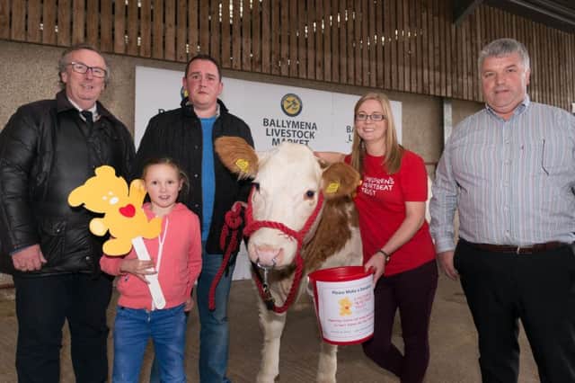 Shaun Irvine, Ballymena Livestock Market, Grace Powell, Richard Powell, Lynn Cowan, Children's Heartbeat Trust, & Hampton Hewitt, Markethill Livestock Market