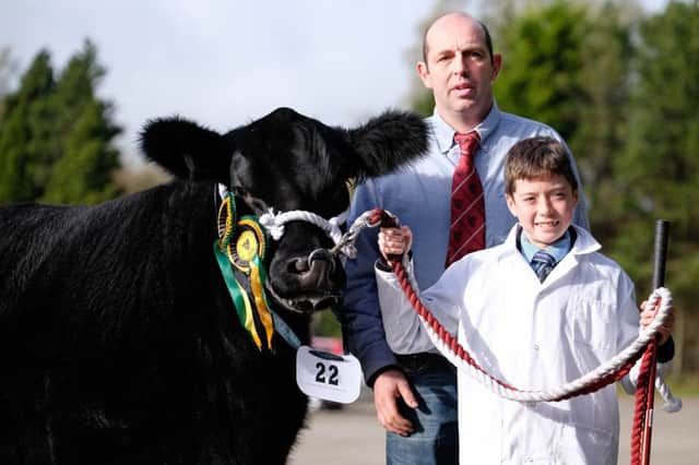Joe Mallon, Swatragh, was the winner of the junior young handlers class at the NI Aberdeen Angus Club's Calf Show in Dungannon. Adding his congratulations is Alan Cheney, president, Irish Aberdeen Angus Association, sponsor. Picture: Columba O'Hare